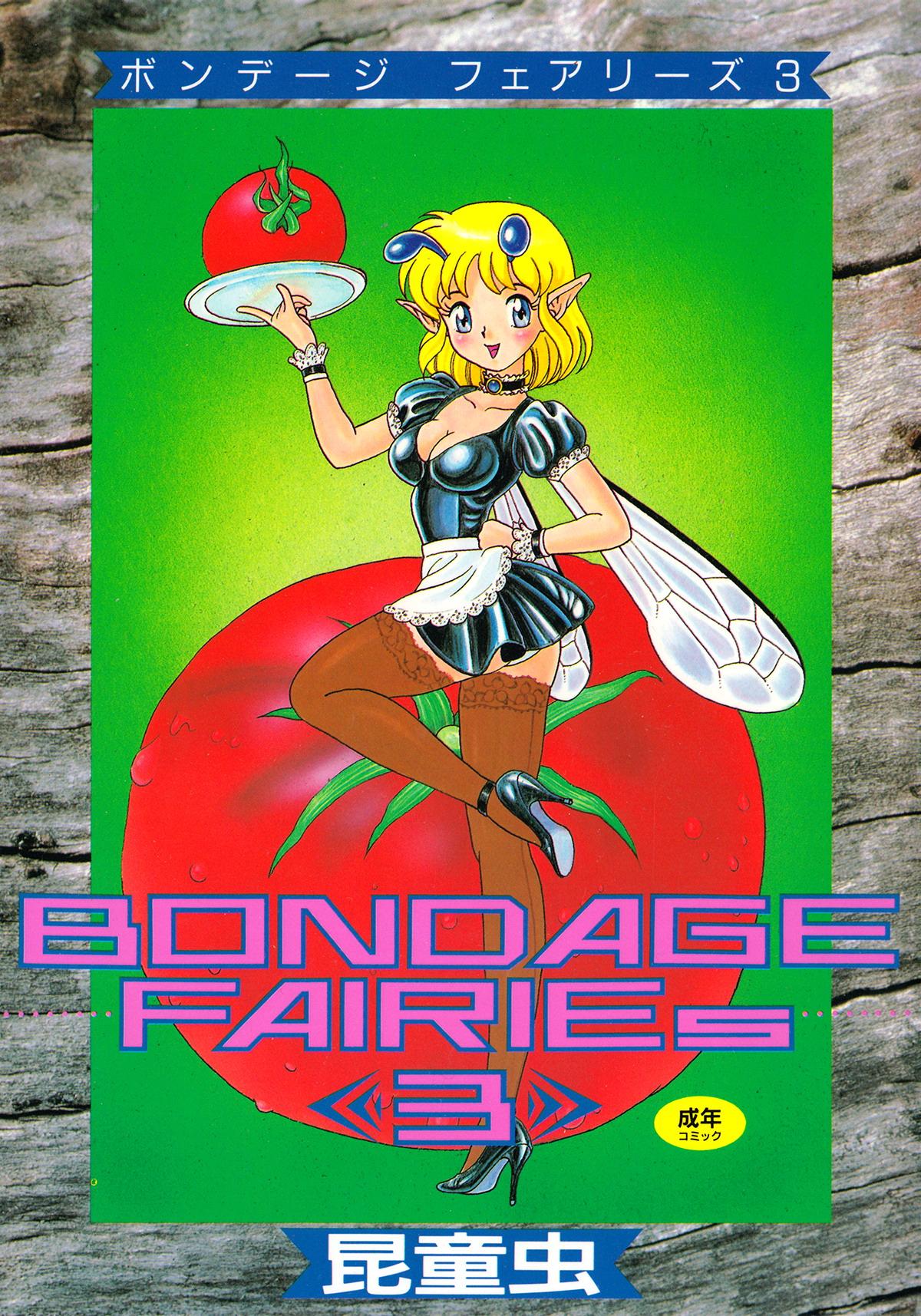 Bondage Fairies 3 1