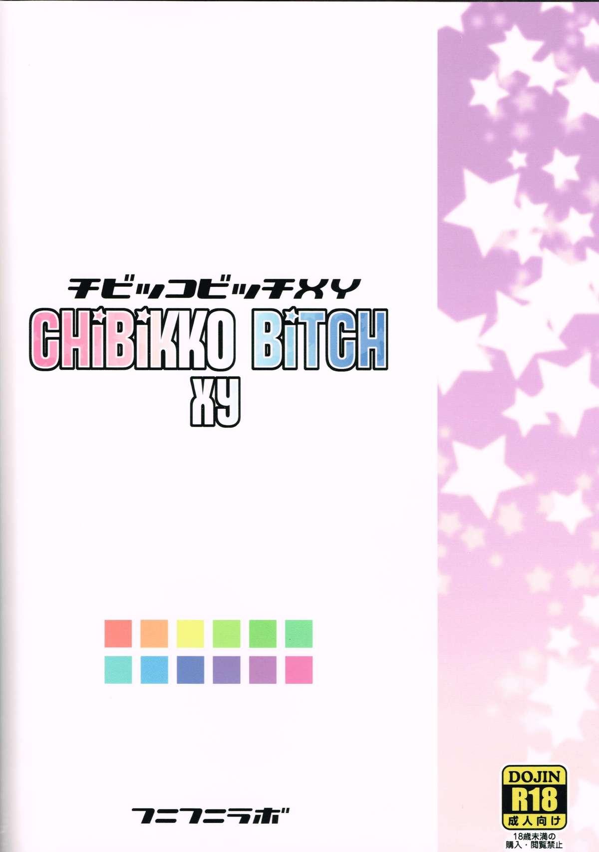 Chibikko Bitch XY 33
