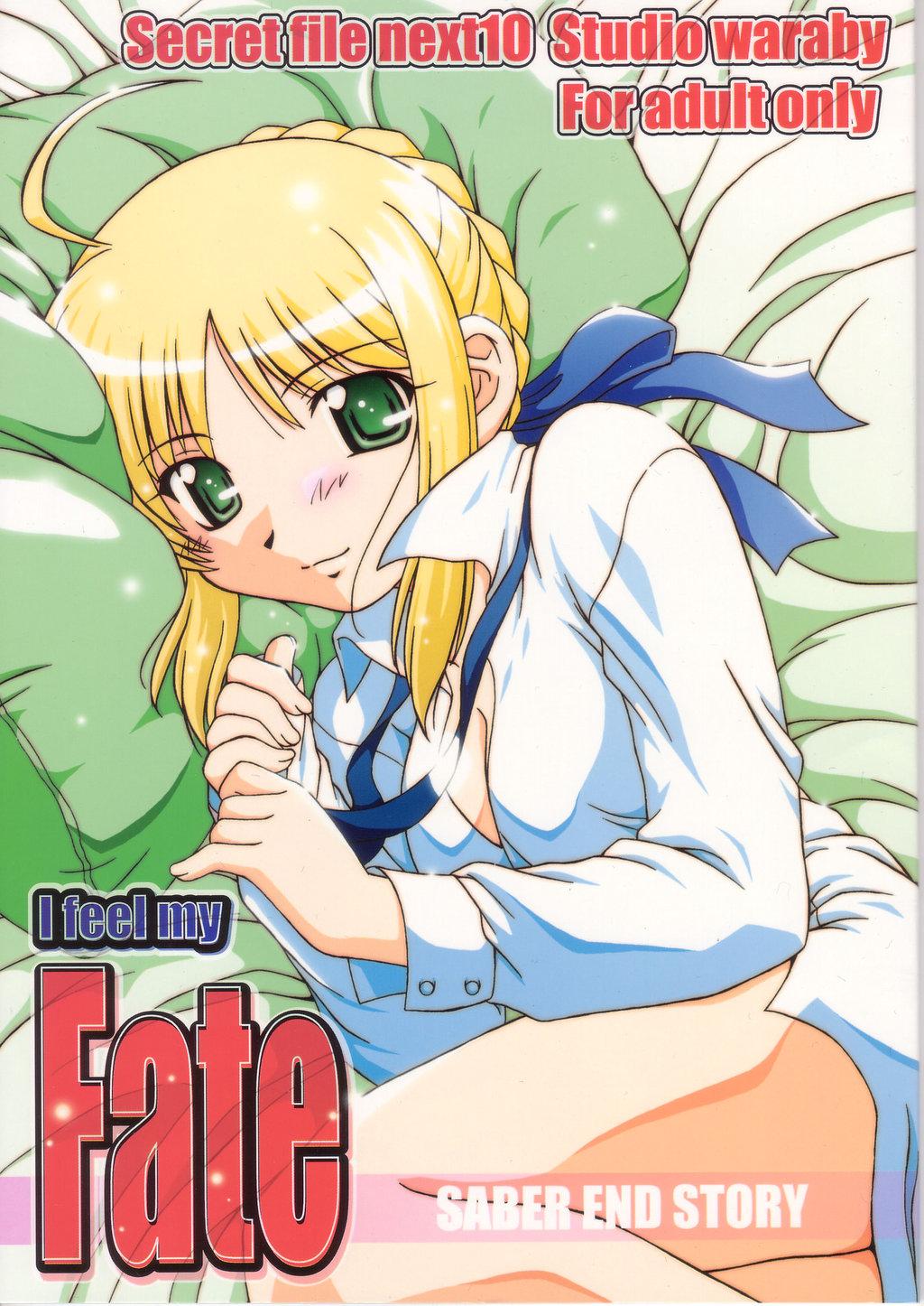 Boys Secret file next 10 - I feel my Fate - Fate stay night Couch - Page 1