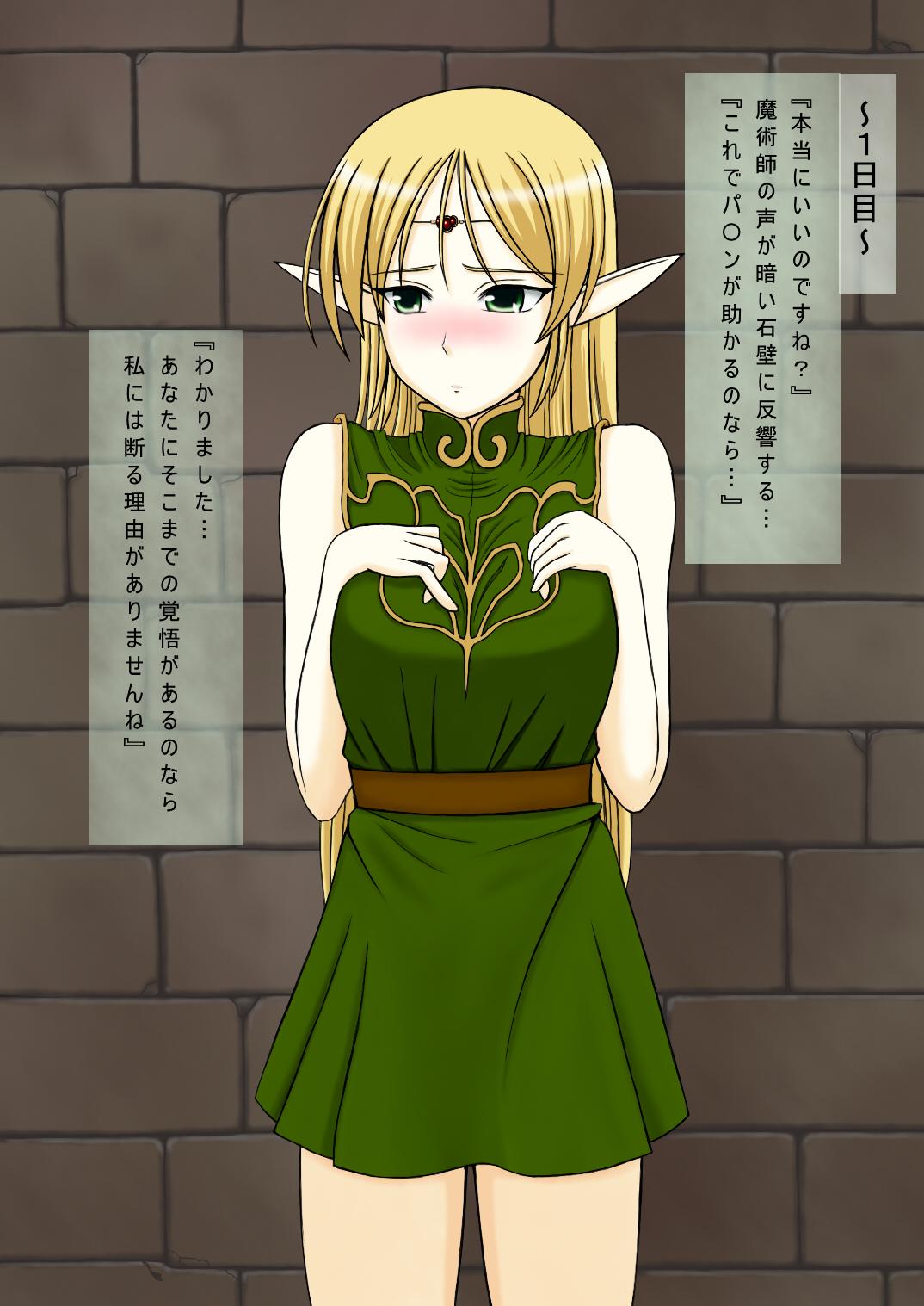 [Uosao] Record of Lodoss War ~Heroine Insult Collection IV~ Cum on the blonde elf (Record of Lodoss War) 0