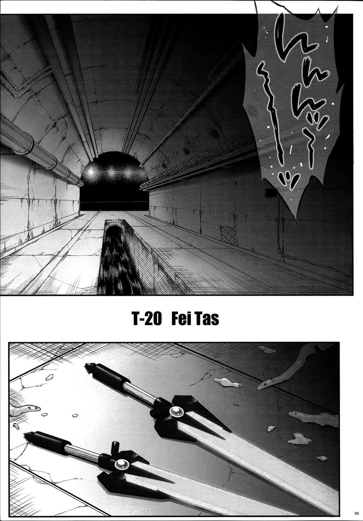 T-20 Fei Tas 3