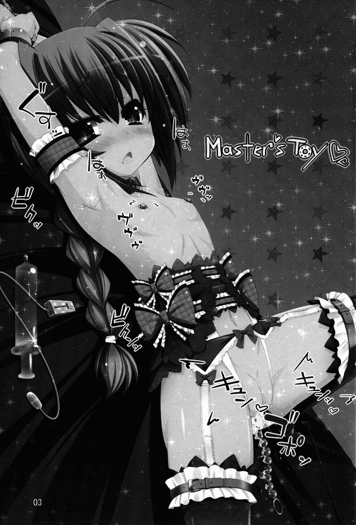 Master's Toy 2