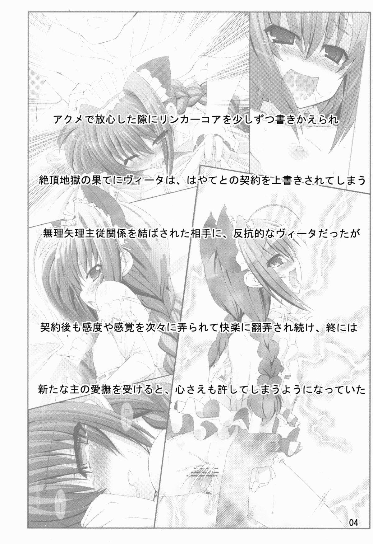 Female Master's Toy - Mahou shoujo lyrical nanoha Amature Allure - Page 4