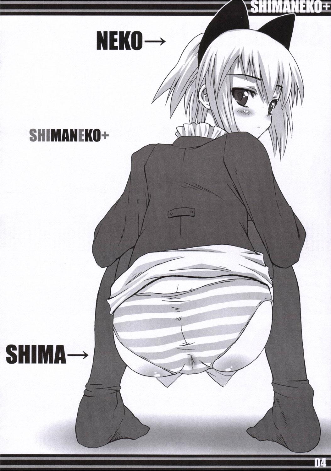 ShimaNeko+ 2