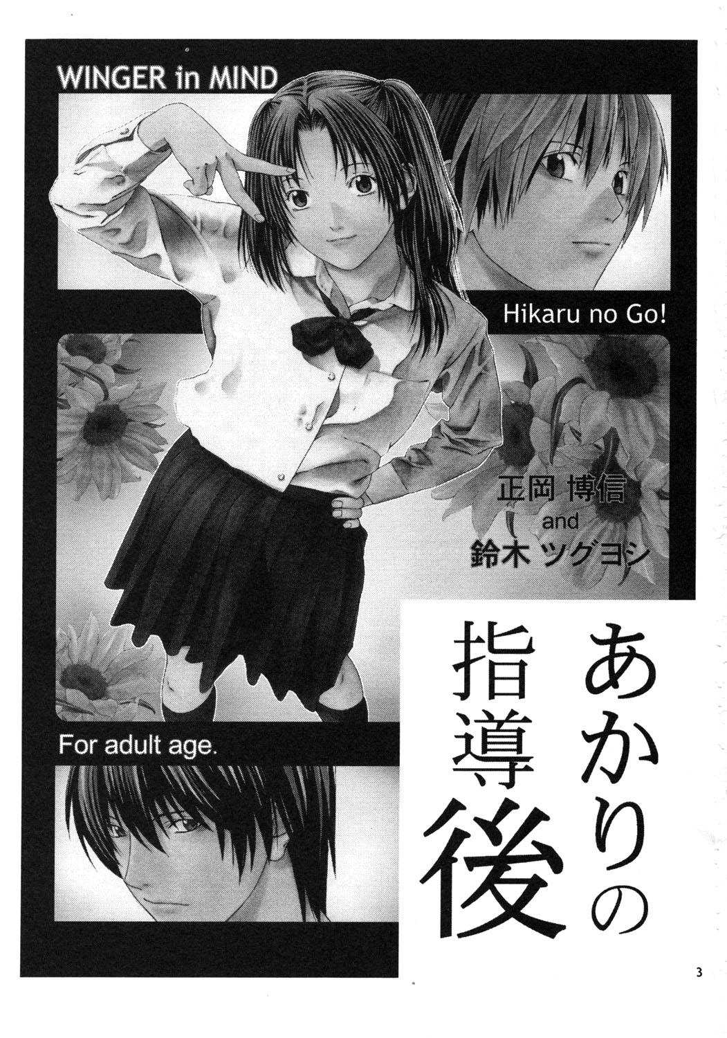 She Akari no Shidou Nochi - Hikaru no go Car - Page 2