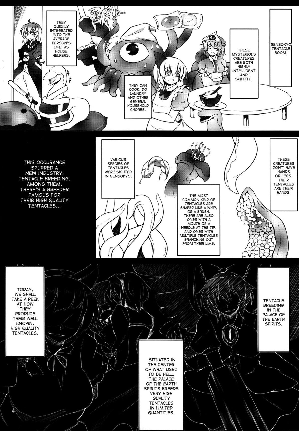Nudist Shokushu Chireiden - Touhou project Parties - Page 3