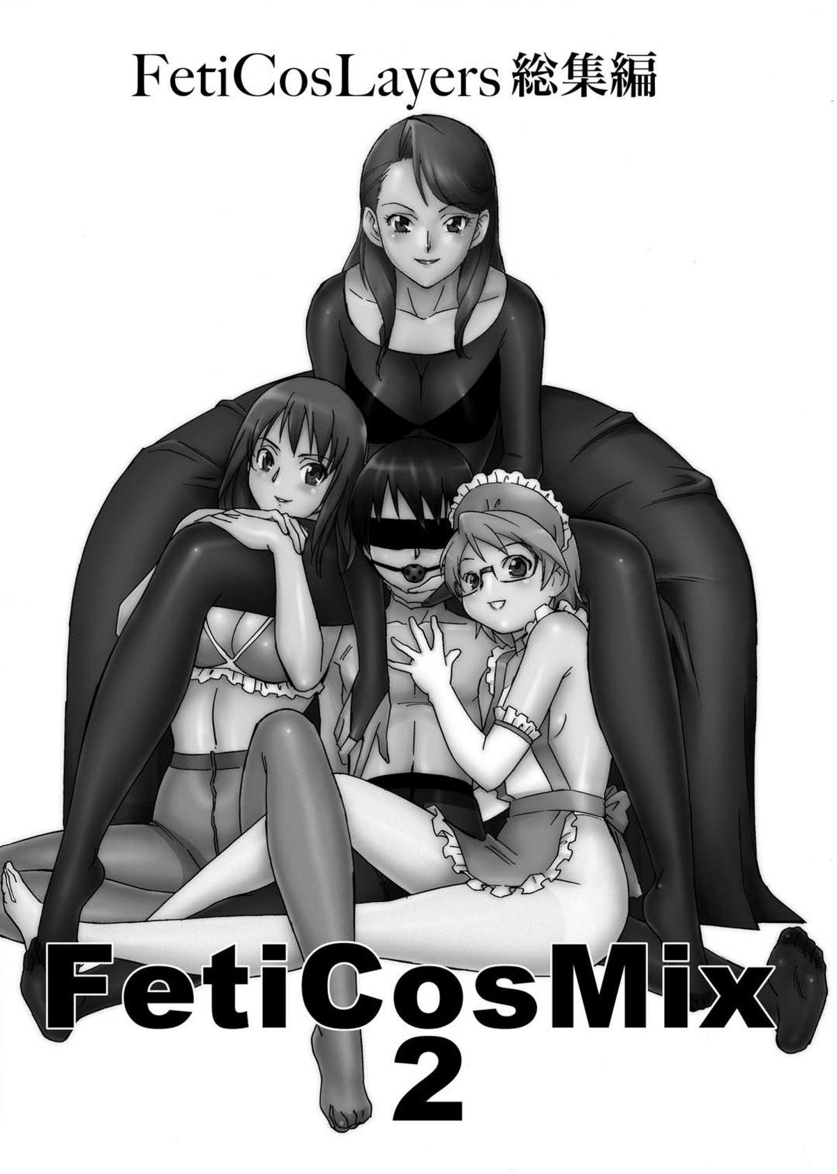 FetiCosMix2 3