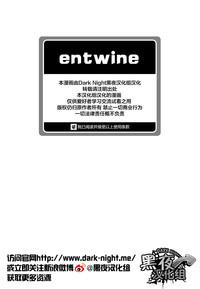 entwine 3