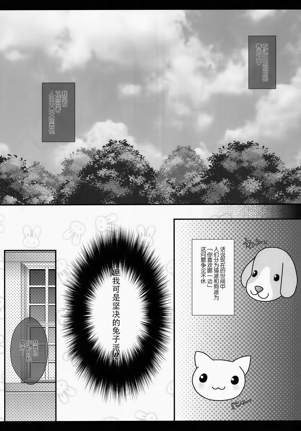 Topless Ore no Kawai Betto ga Jikifukkatsu to Kiite xxxxx ga Tomaranai - Touhou project White Chick - Page 4