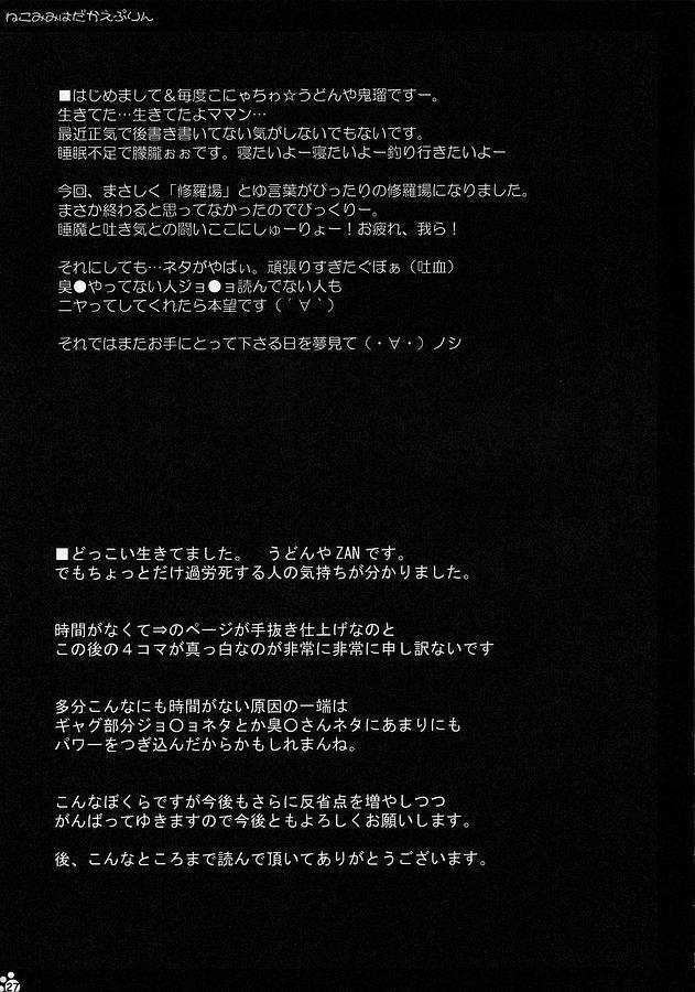 Massive Nekomimi Hadaka EpuRin - Fate stay night Pau - Page 26