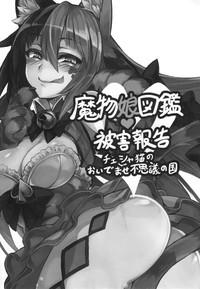 Mamono Musume Zukan Higai Houkoku| Monstergirl Encyclopedia Damage Report 2