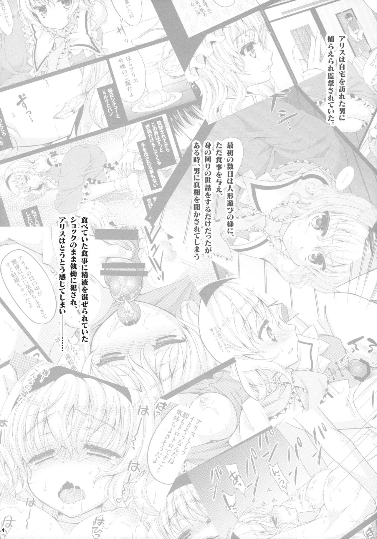 Secret Ningyoutsukai no Utage Chuu - Touhou project Asia - Page 4