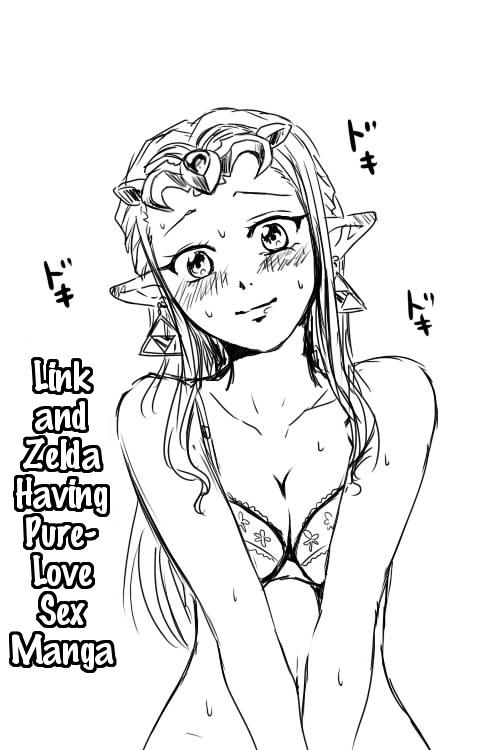 Link to Zelda ga Jun Ai Ecchi suru Manga 1