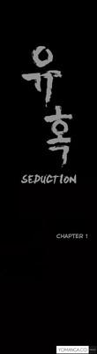 Seduction Ch.1-37 1