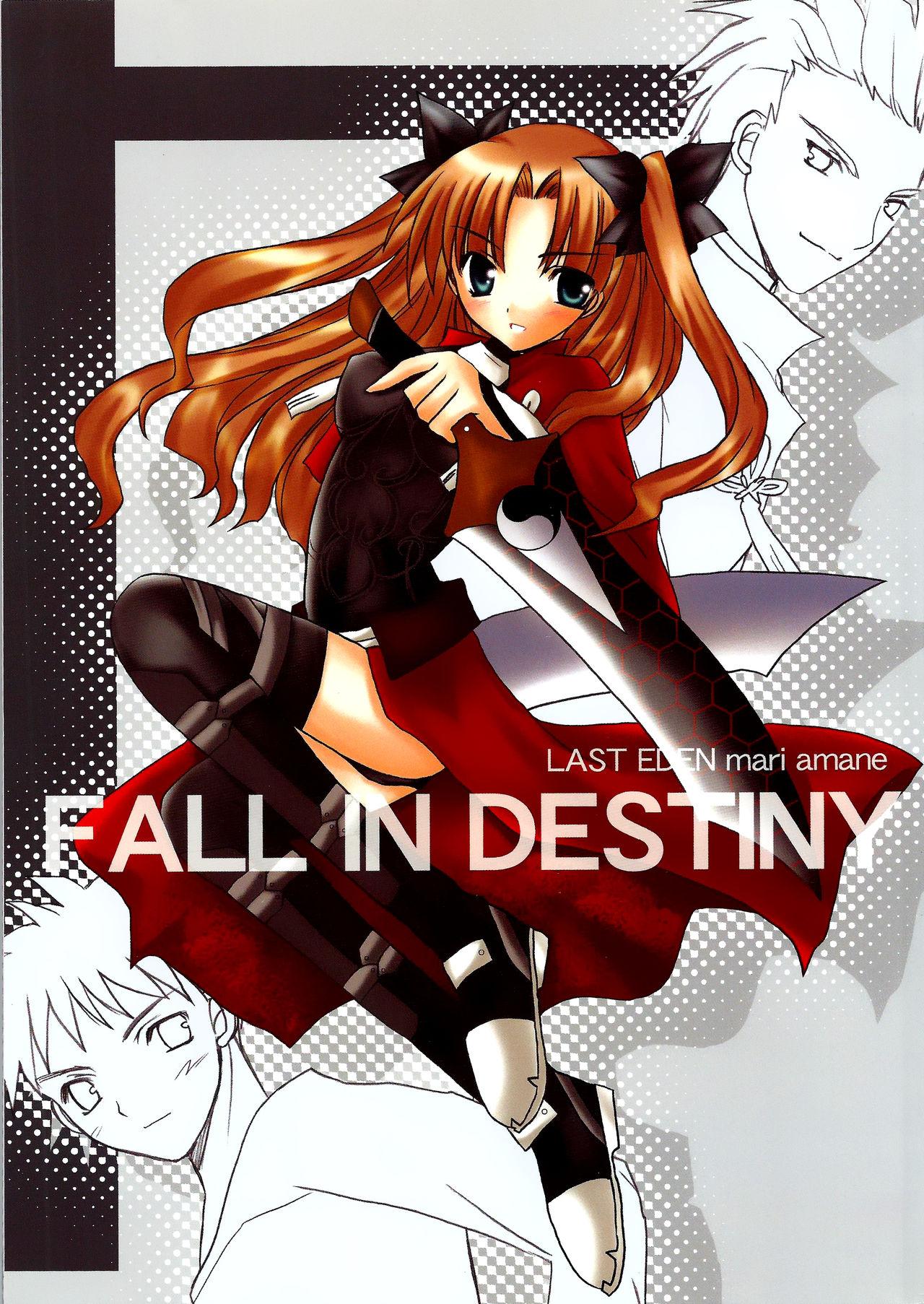 Gay Money Fall in Destiny - Fate stay night Star - Picture 1