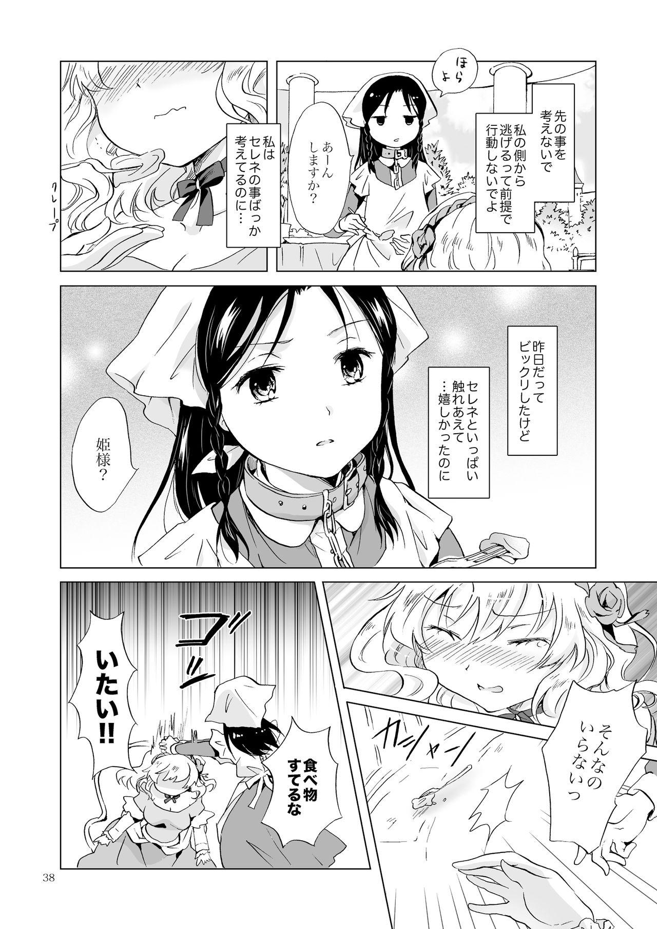 [peachpulsar (Mira)] Hime-sama to Dorei-chan [Digital] 36