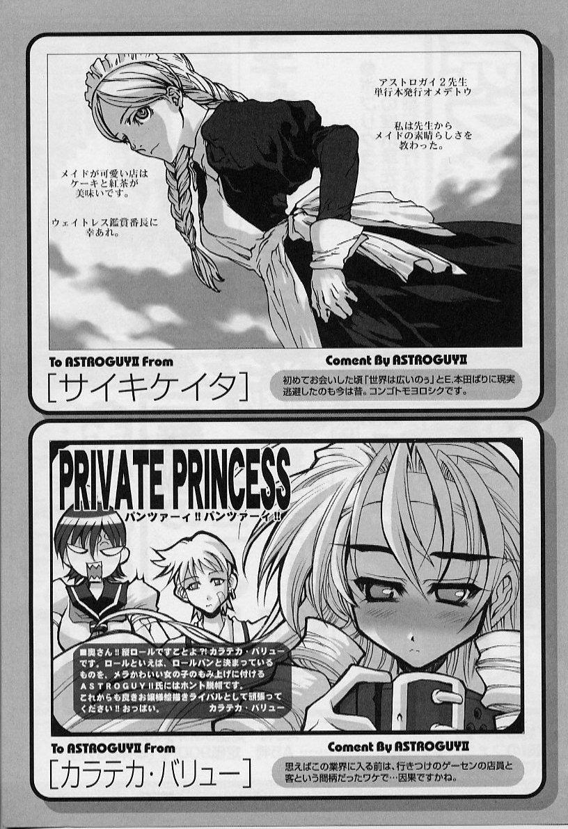 Private Princess 176
