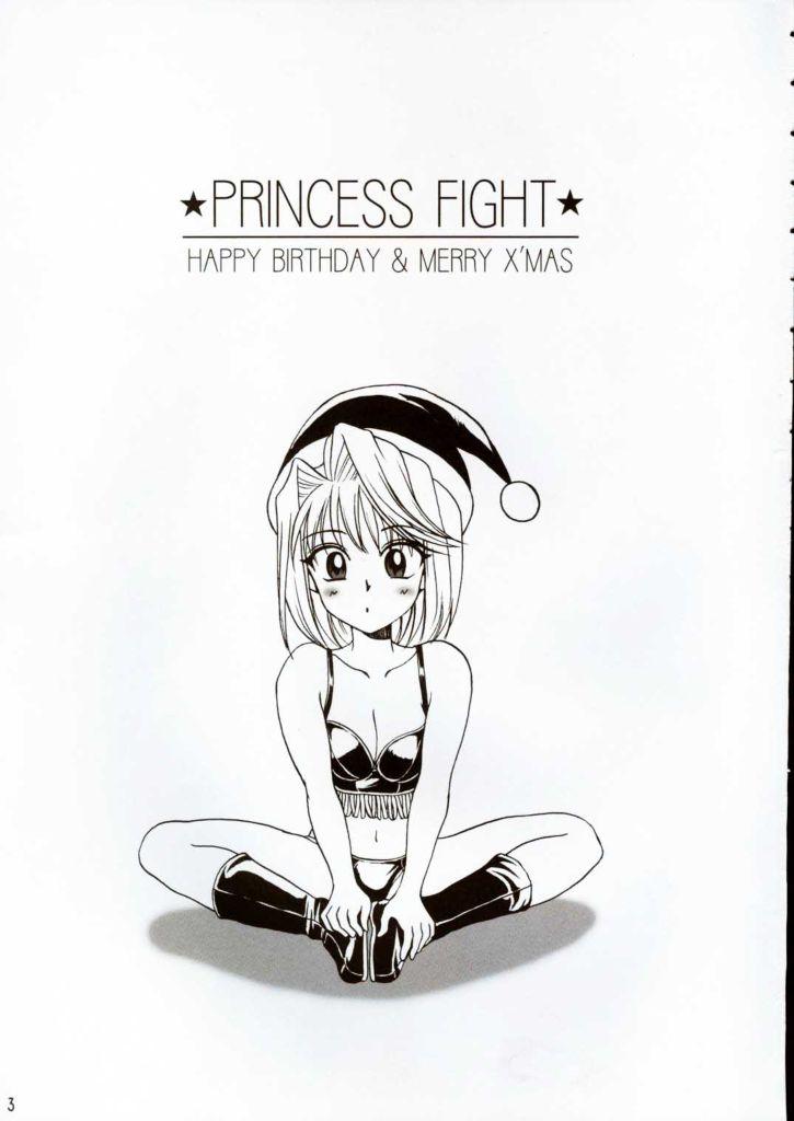 Hoe PRINCESS FIGHT - Tsukihime Pica - Page 2