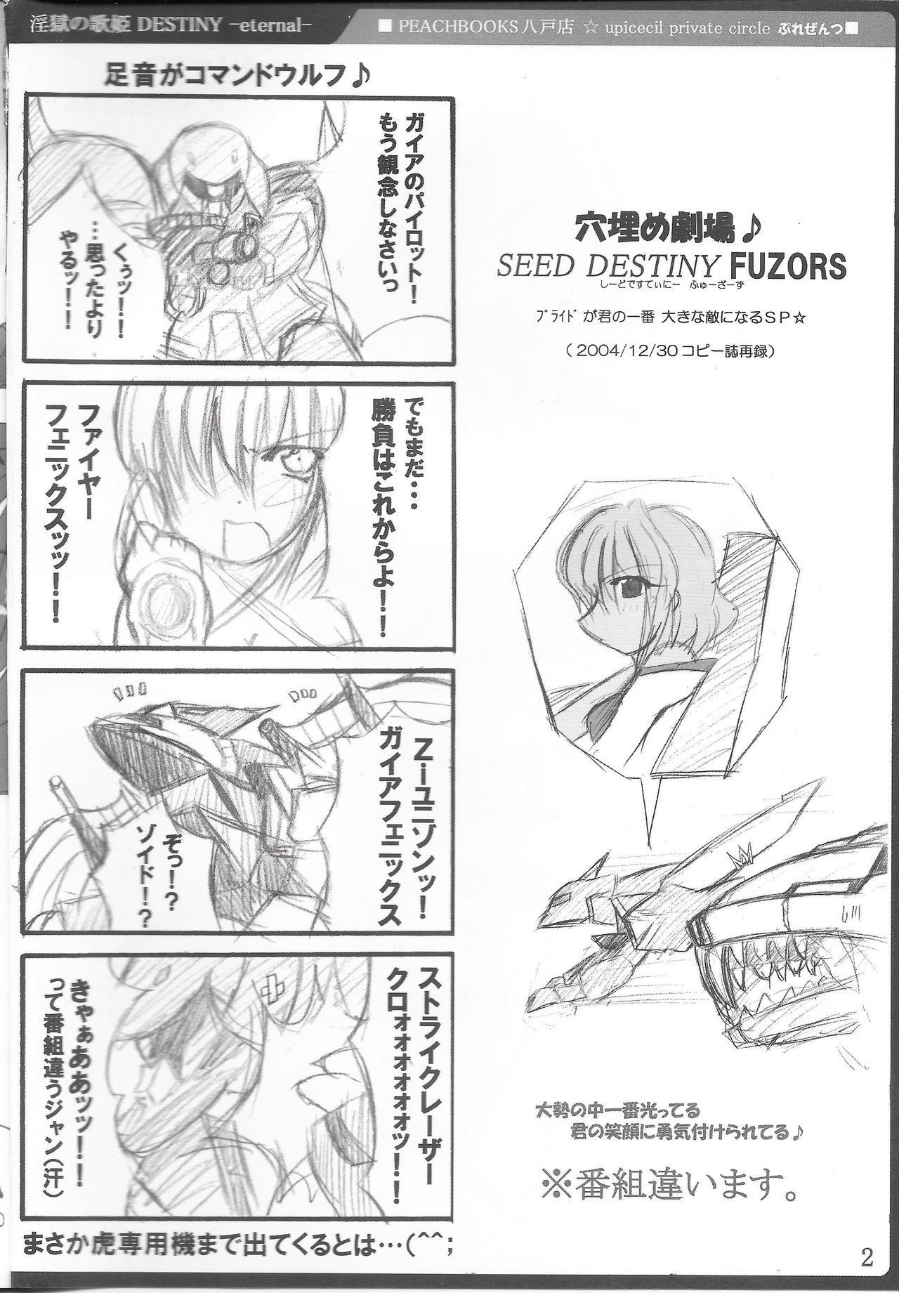 Asshole Ingoku no Utahime DESTINY - Gundam seed destiny Beautiful - Page 3