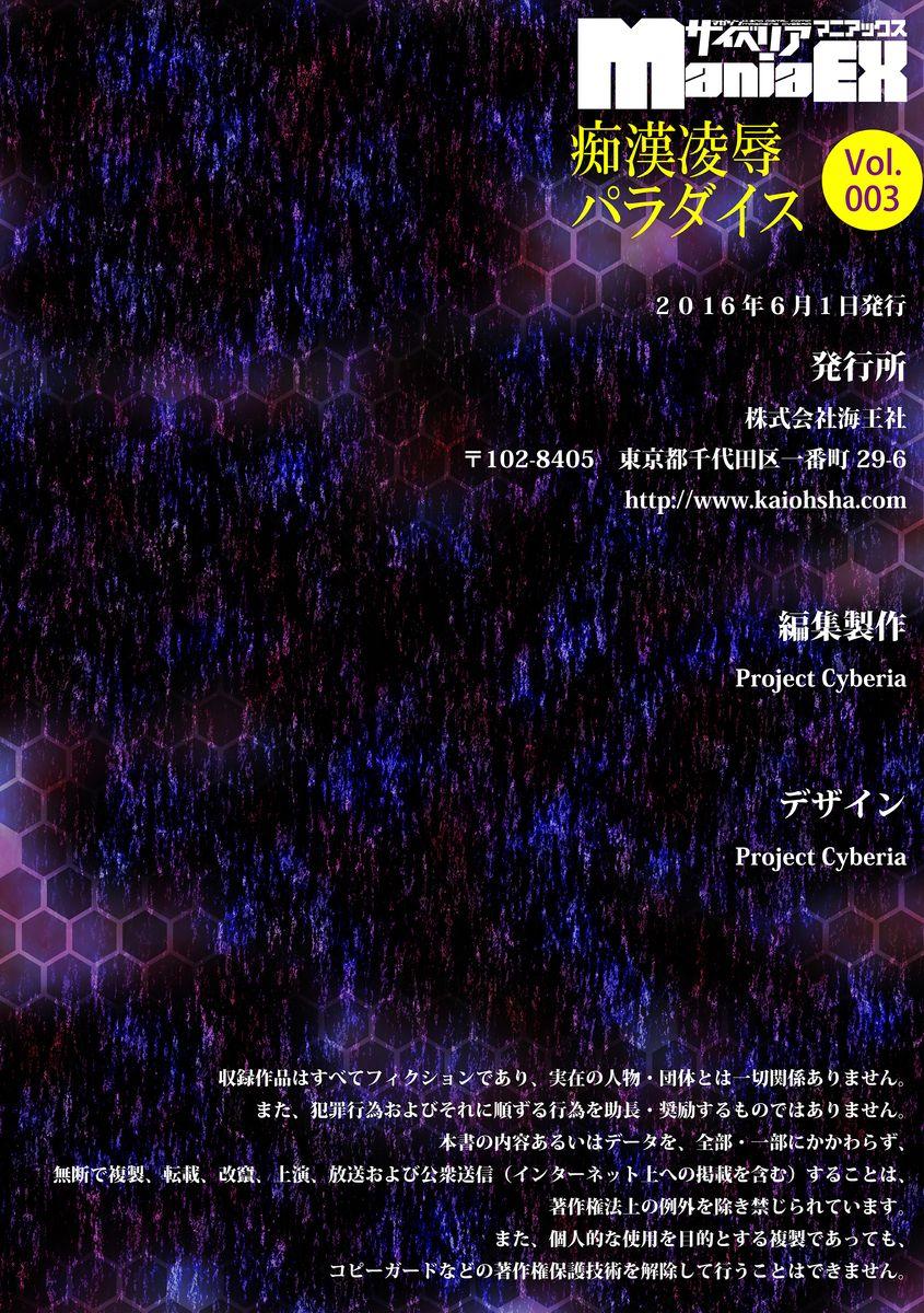 Cyberia Maniacs Chikan Ryoujoku Paradise Vol.3 85
