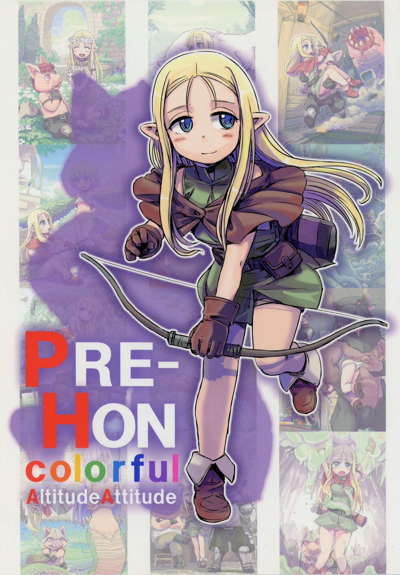 PRE-HON colorful 0