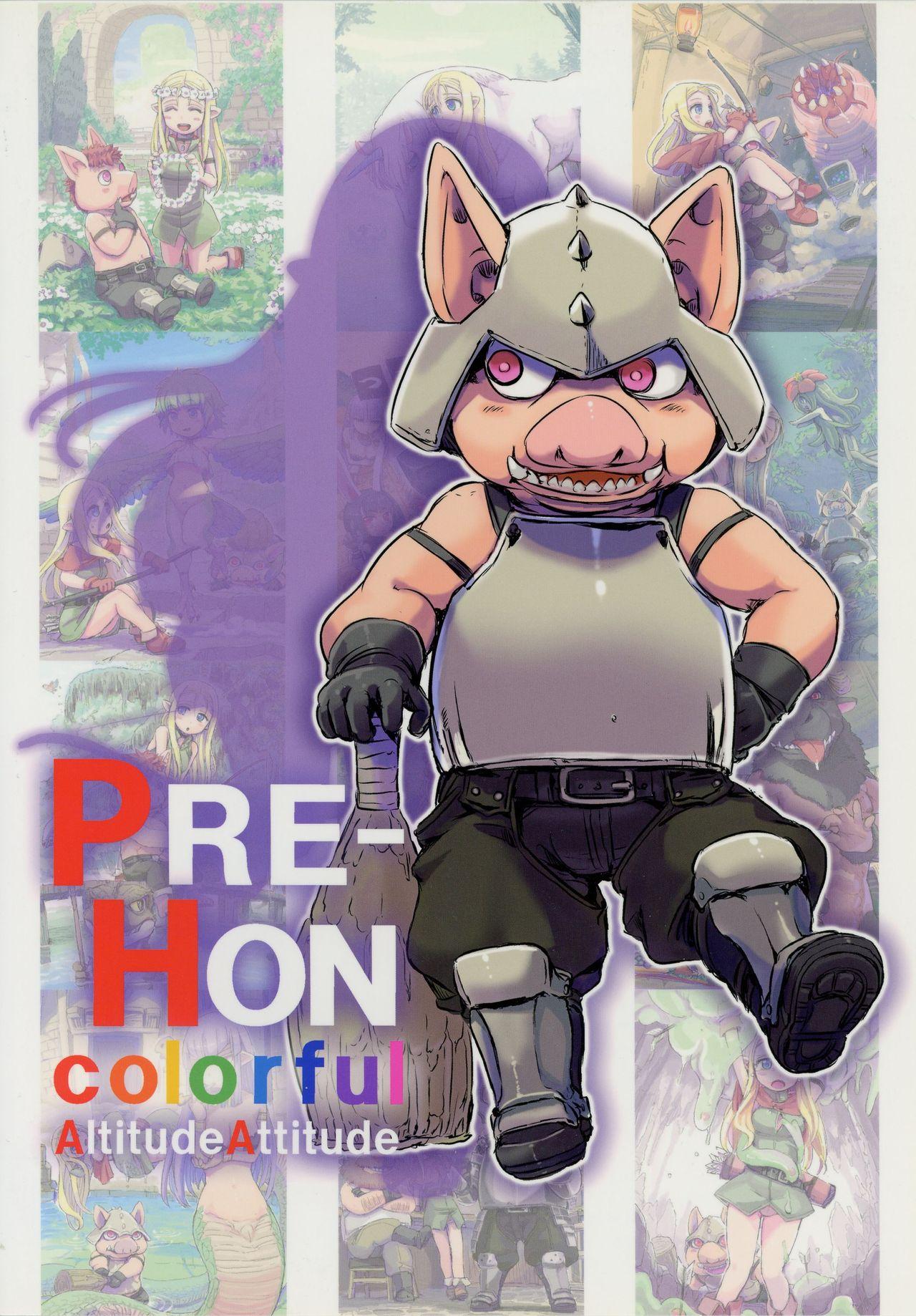 PRE-HON colorful 1