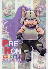 PRE-HON colorful 2