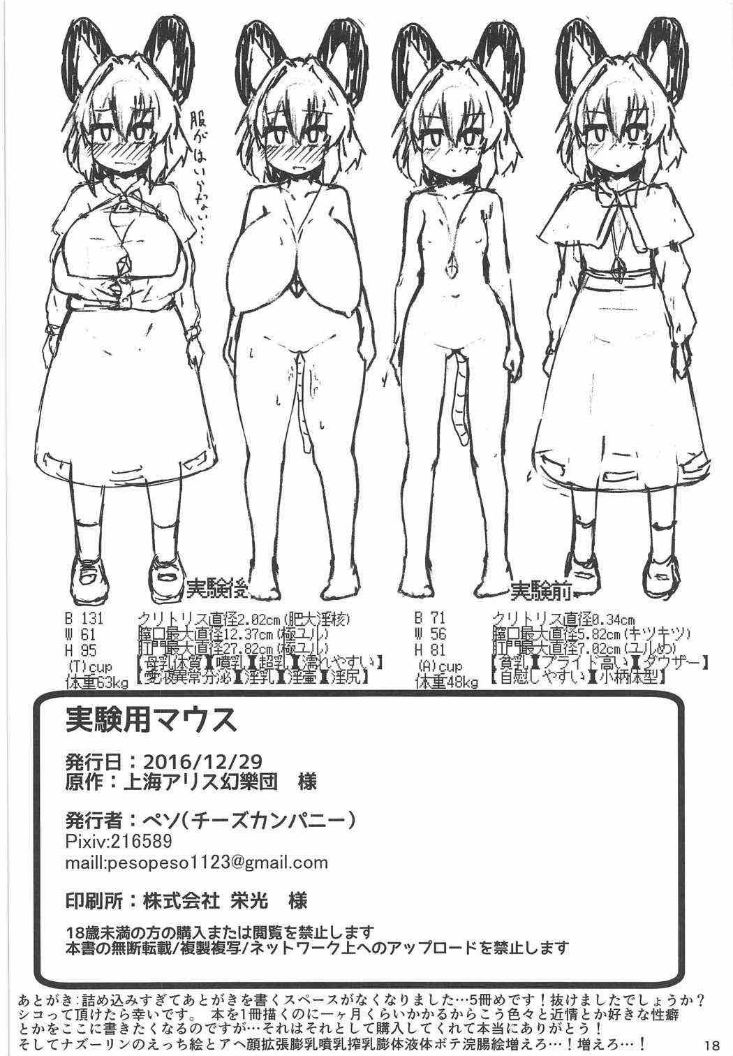 Trans Jikkenyou Nazrin - Touhou project Hooker - Page 17