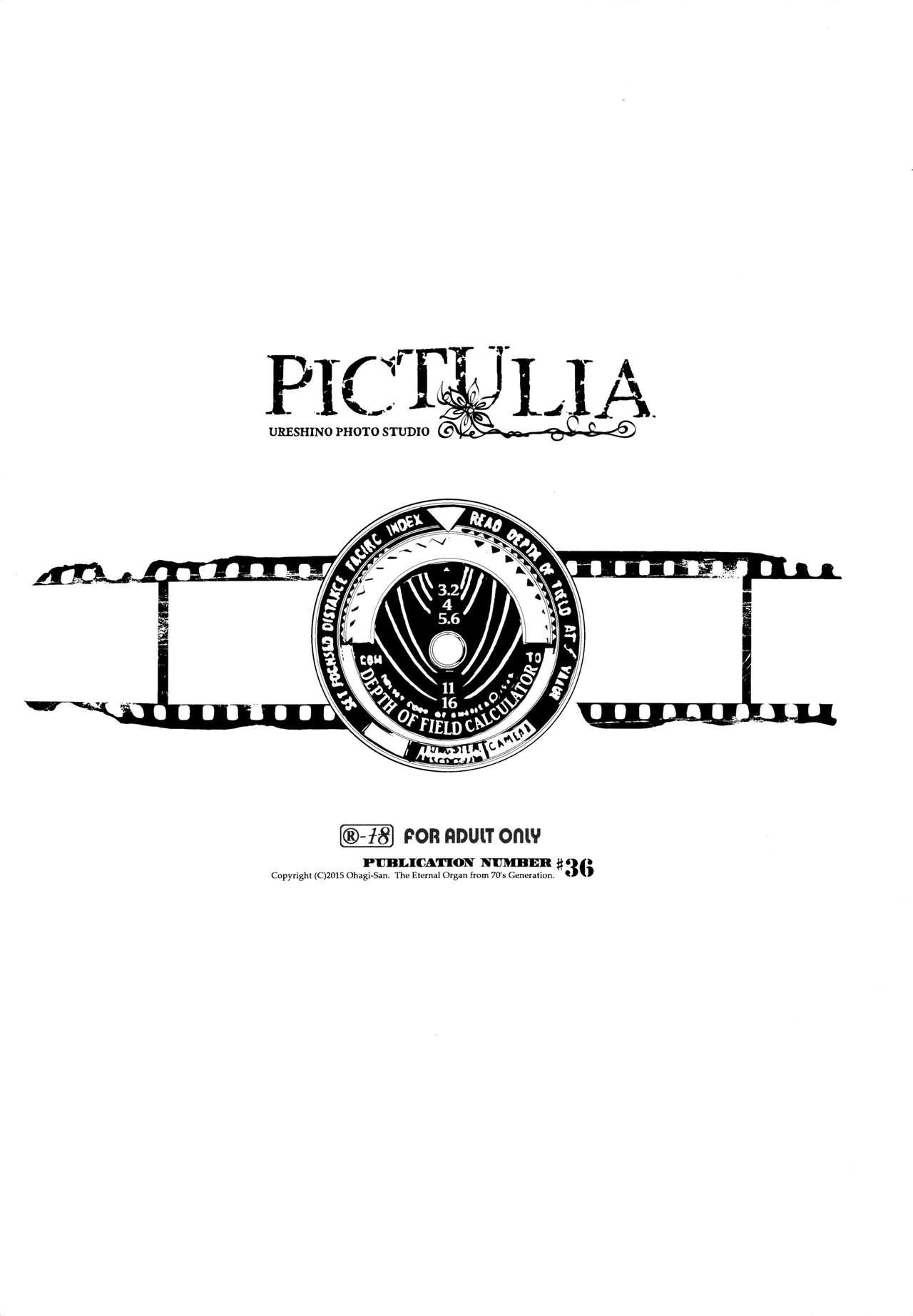 pictulia + 4P Leaflet 3