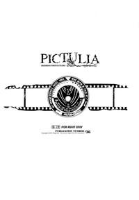 pictulia + 4P Leaflet 4