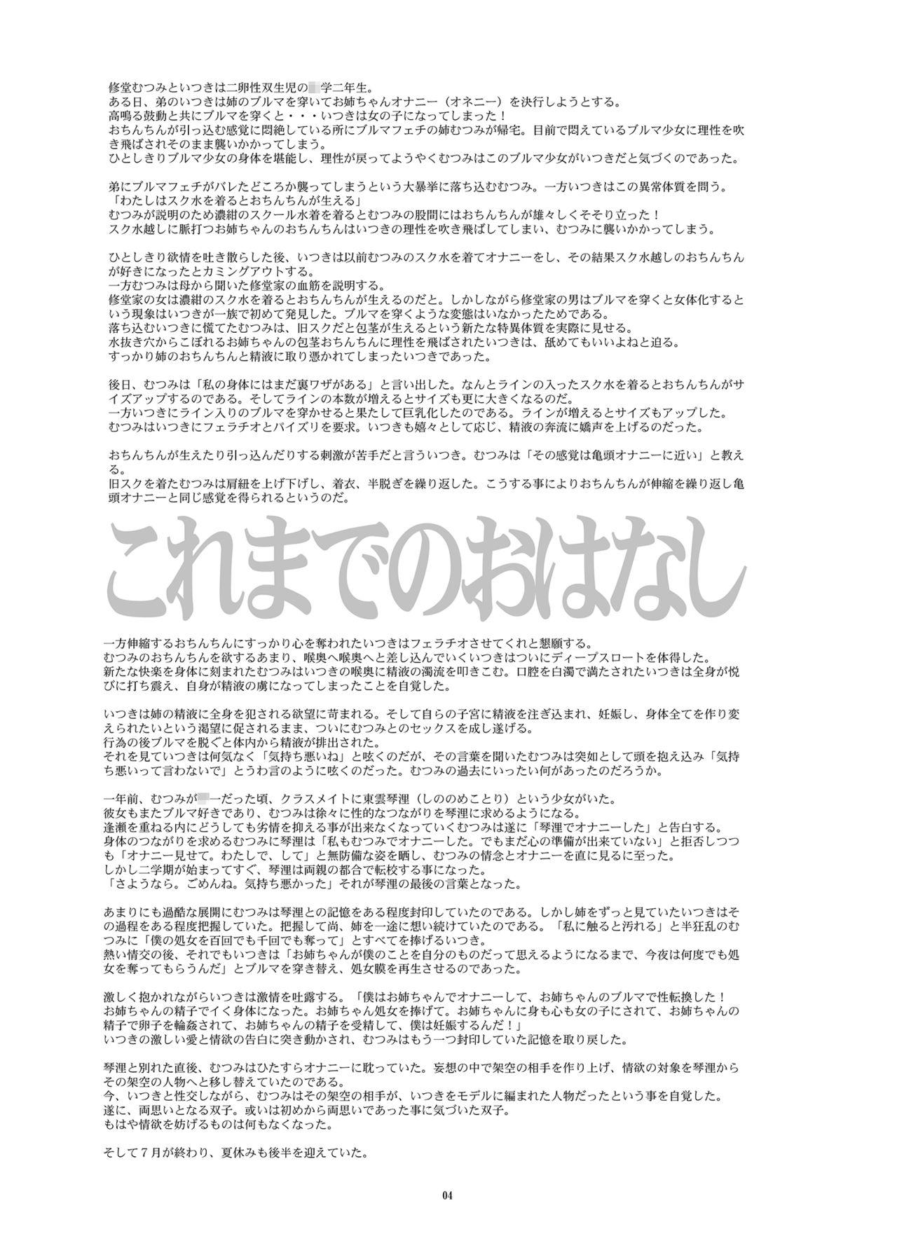 Perrito Hentai Futago no Natsuyasumi 3 Mature - Page 3