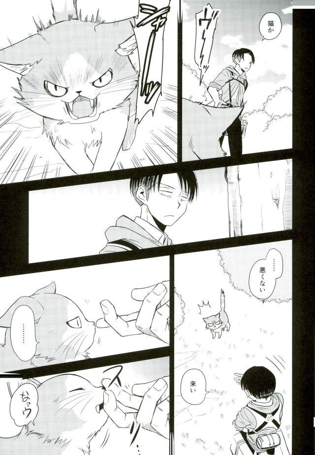 Lips Shinpei-kun ga Neko ni Narimashite - Shingeki no kyojin Transexual - Page 8
