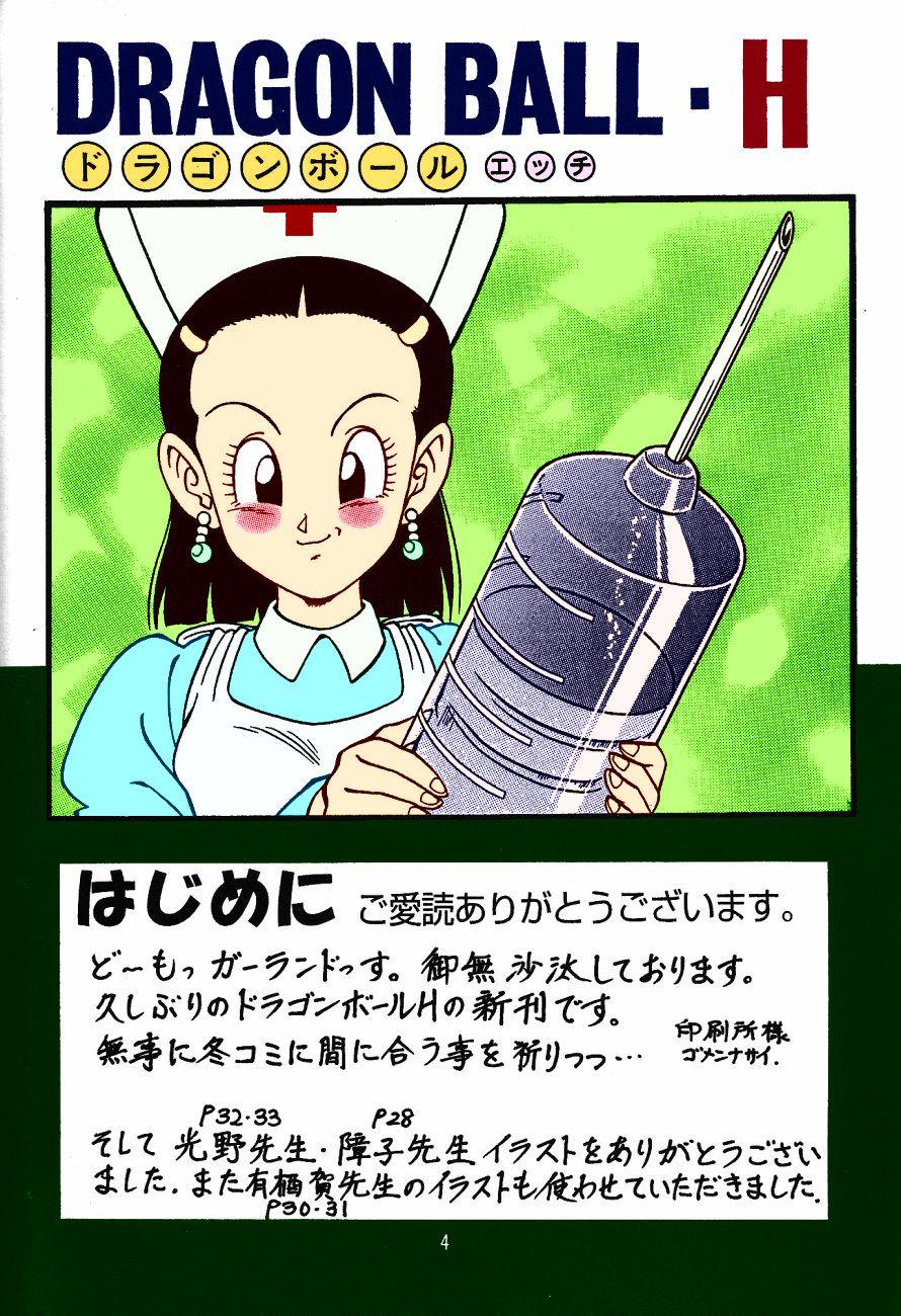 DragonBall H Maki San 2