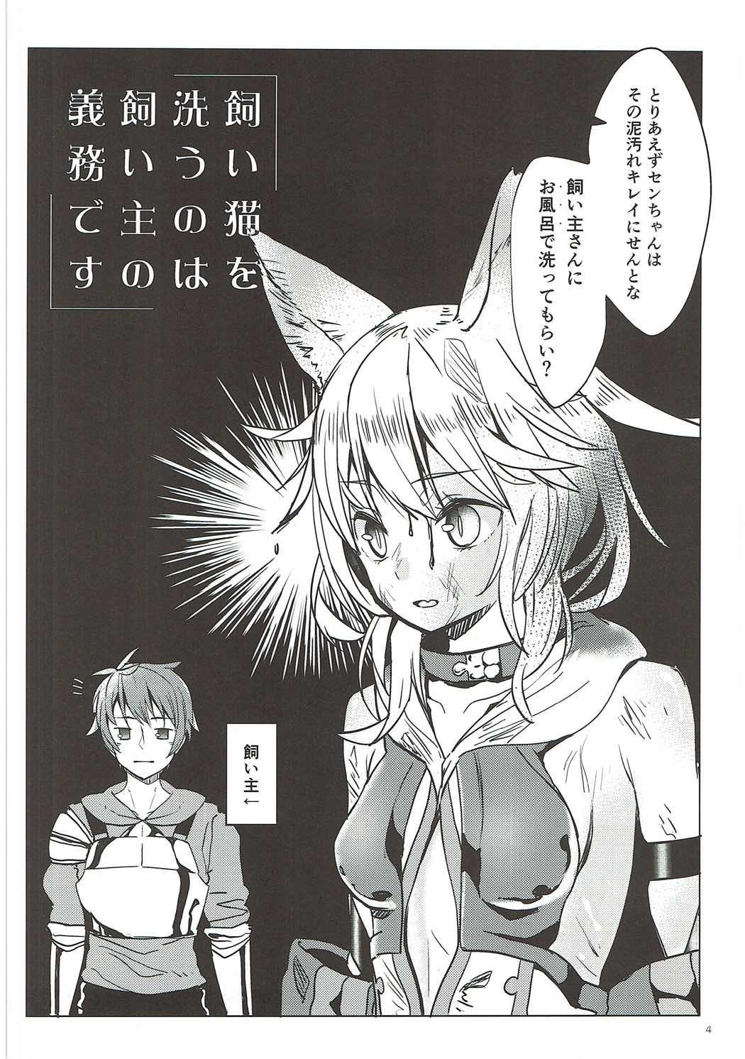 Fuck For Money Kaineko no Seiketsu wa Kainushi no Gimu desu - Granblue fantasy Hardcore Porn - Page 3