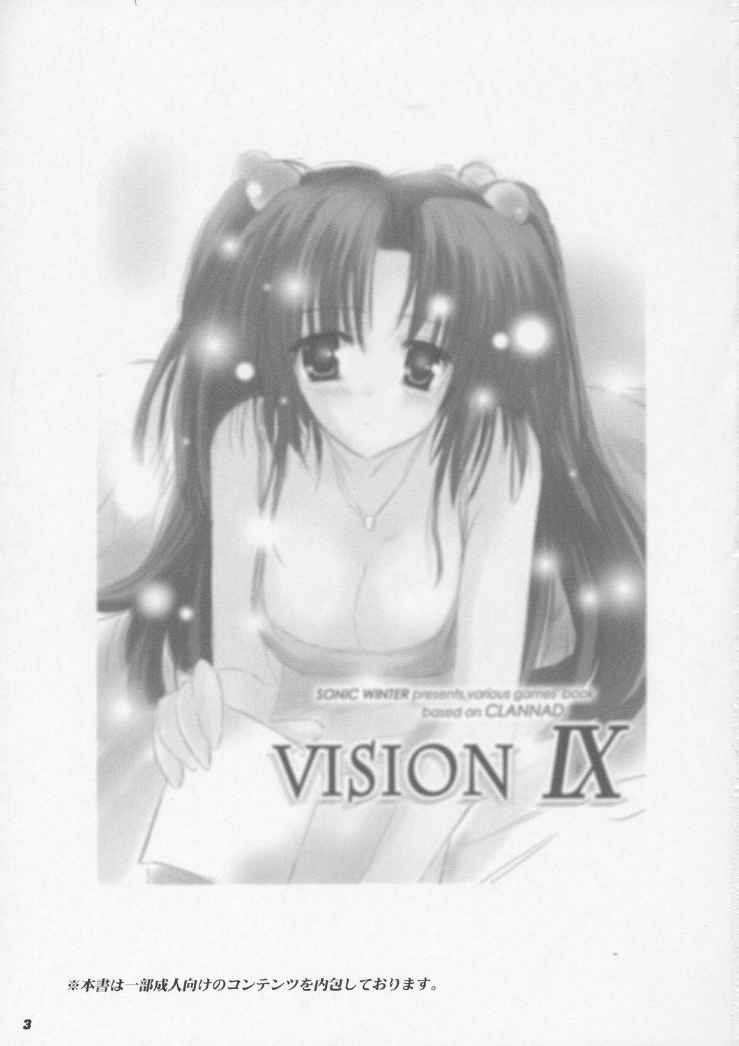 VISION IX 1
