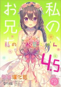 Watashi no, Onii-chan 4.5 Bangaihen 1