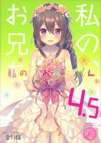 Watashi no, Onii-chan 4.5 Bangaihen 2
