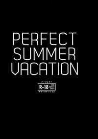 Perfect Summer Vacation 2