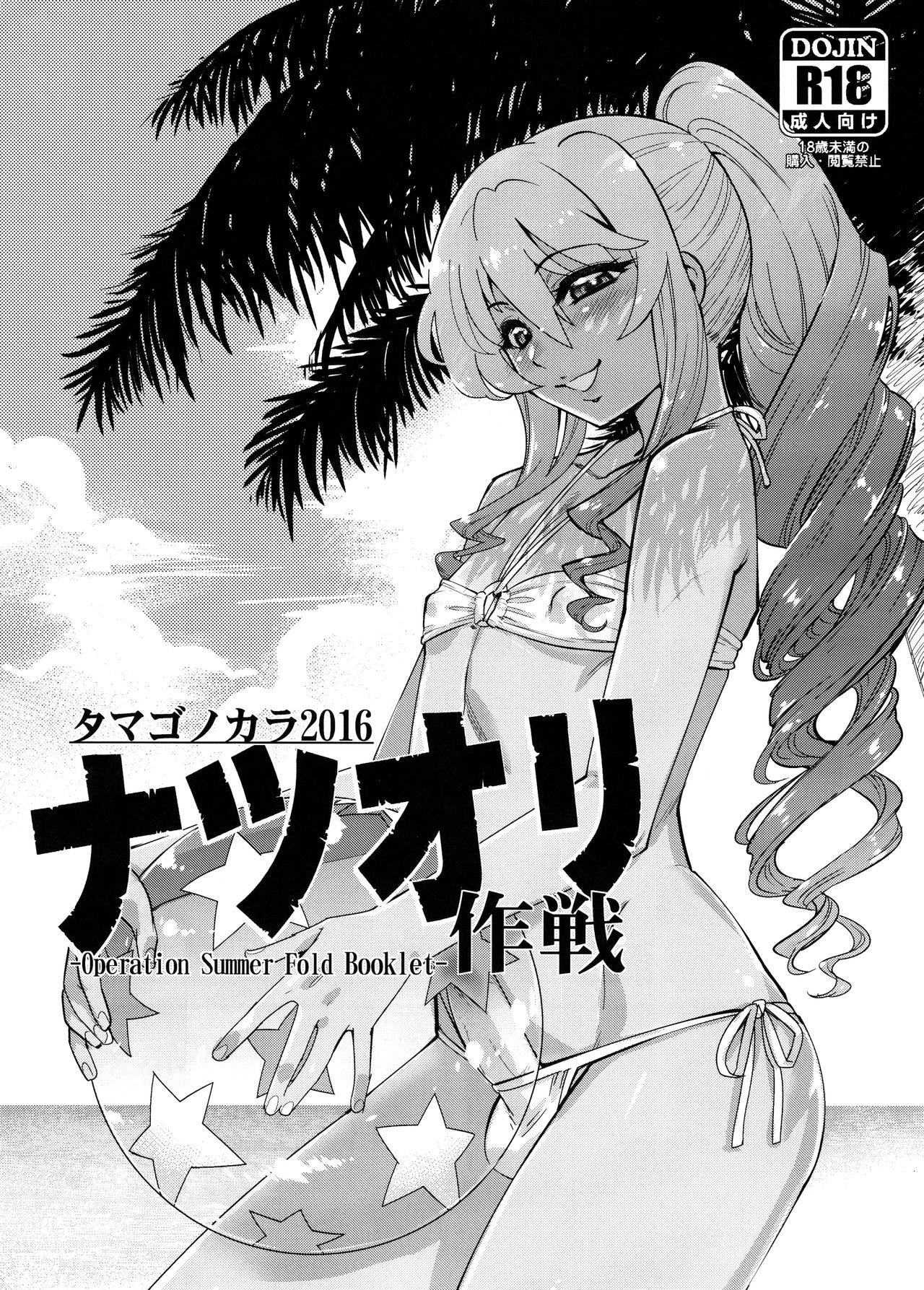 (C90) [Tamago no Kara (Shiroo)] -Operation Summer Fold Booklet- [English] [B.E.C. Scans] 1