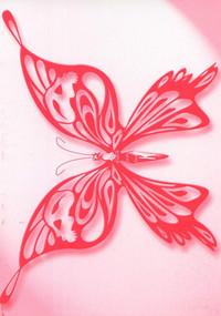 Choubi - Butterfly Beauty 4