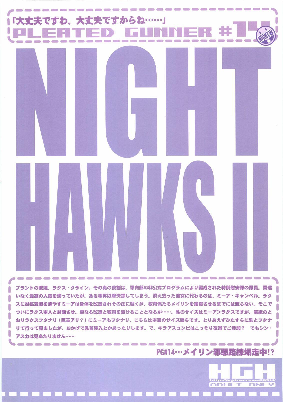 Pleated Gunner #14 - Night Hawks 2 25