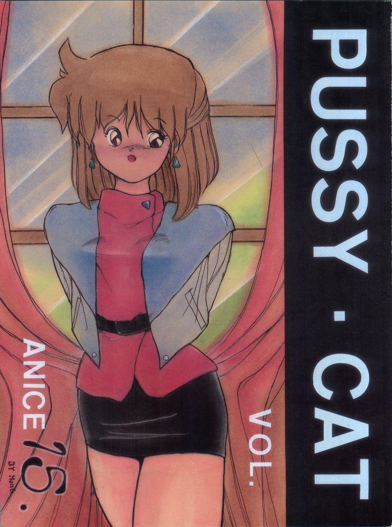 Escort Pussy Cat Vol. 15 - Magical emi Sonic soldier borgman Pantyhose - Picture 1