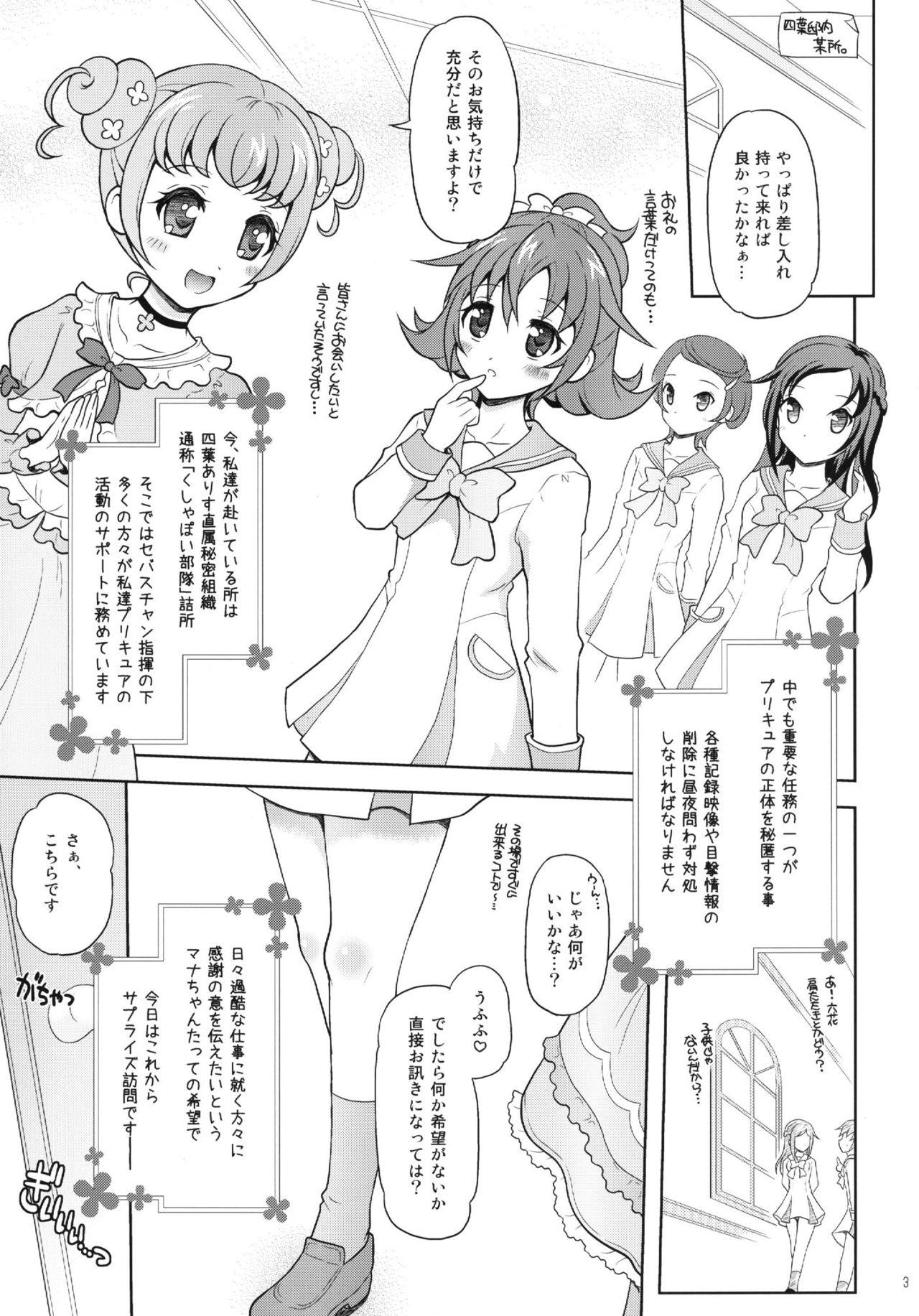 Doctor DokiDoki! Surprise Party - Dokidoki precure Pauzudo - Page 3