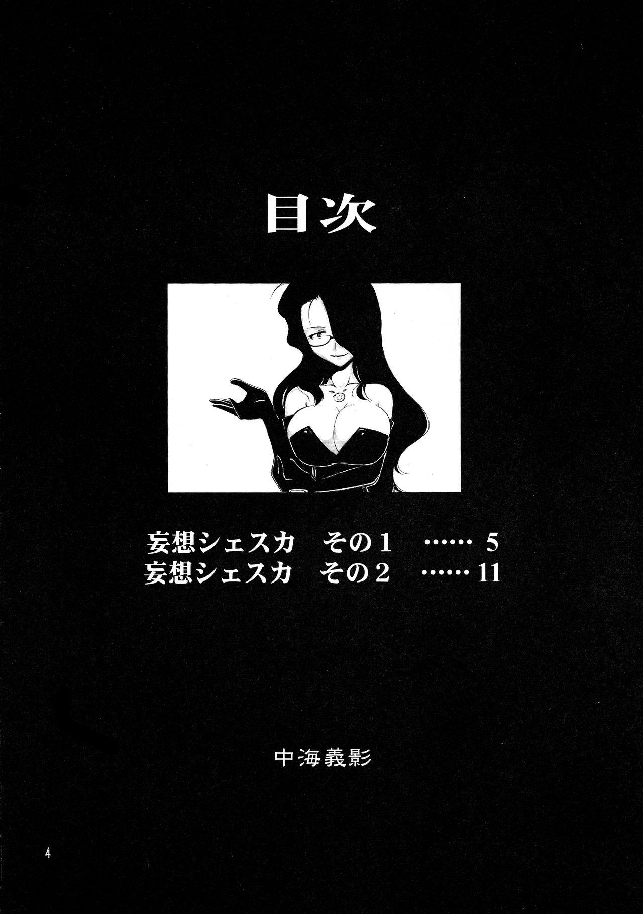 Young Tits Megane Plus 2 - Fullmetal alchemist Pick Up - Page 4