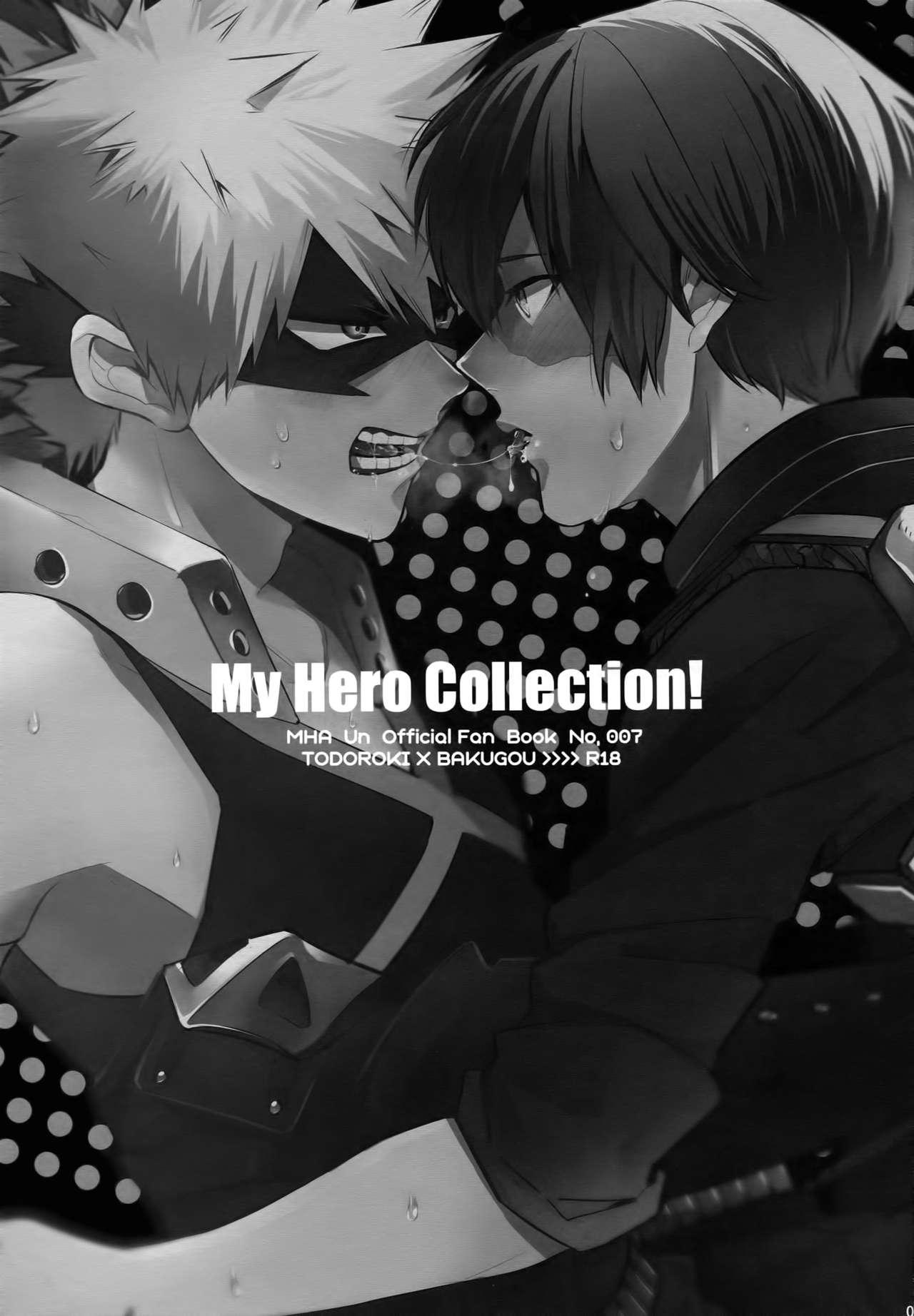My Hero Collection! 1
