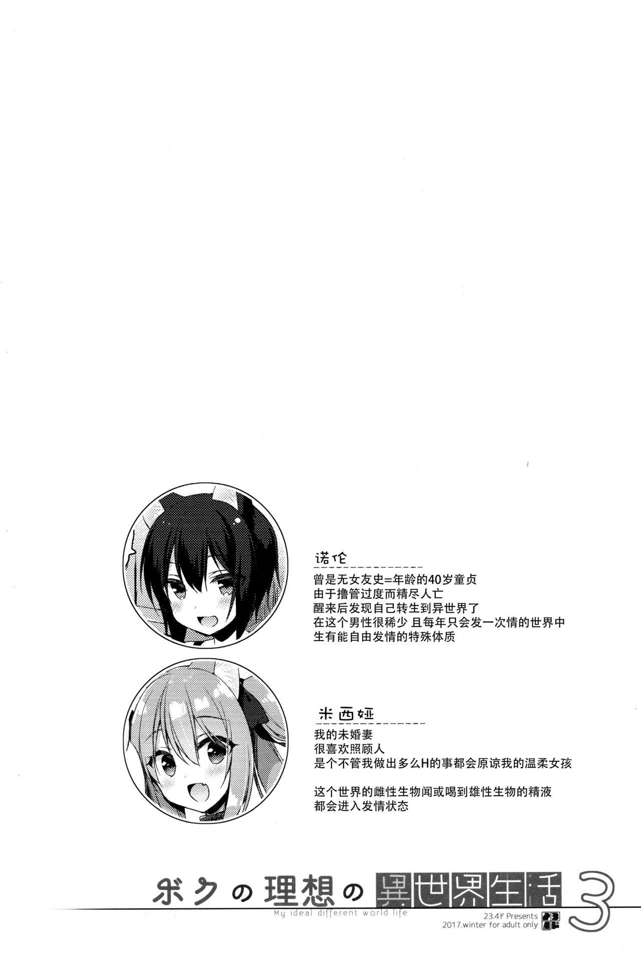 She Boku no Risou no Isekai Seikatsu3 - Original Skype - Page 4