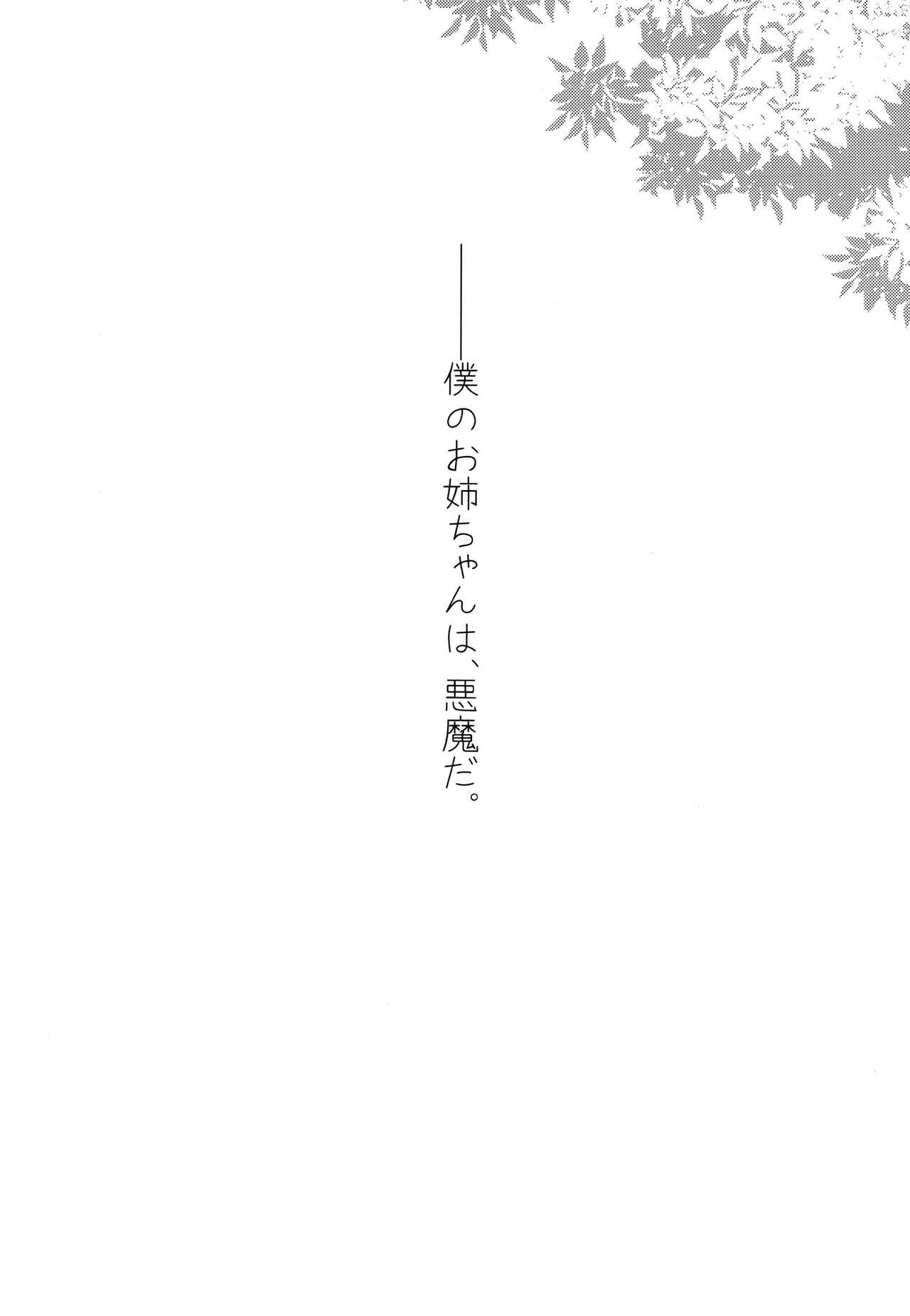 Ane Naru Mono Zenshuu 1 | Ane Naru Mono Complete Works 1 1
