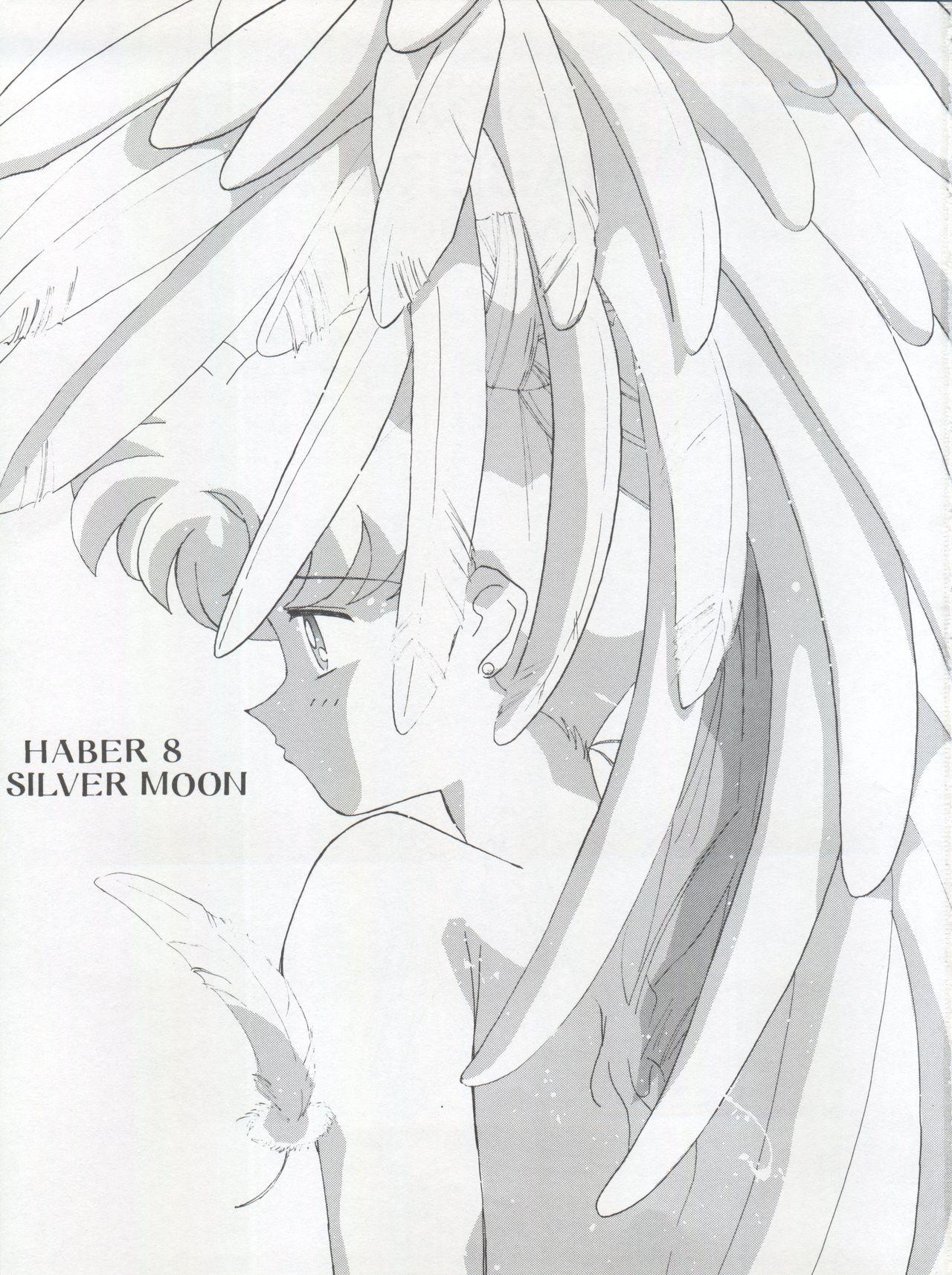 Amateur HABER 8 - Sailor moon HD - Page 3