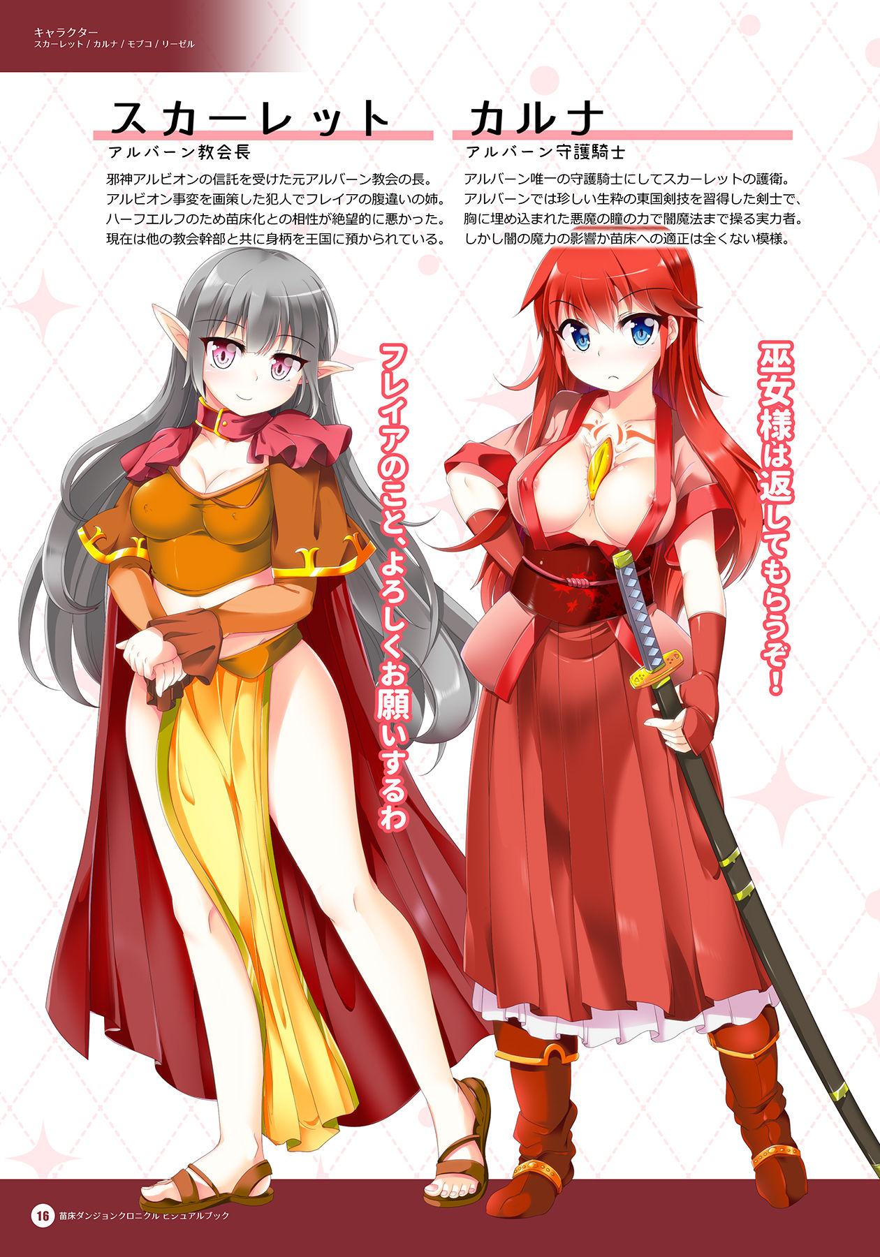 Naedoko Dungeon Chronicle Official Design Works 14