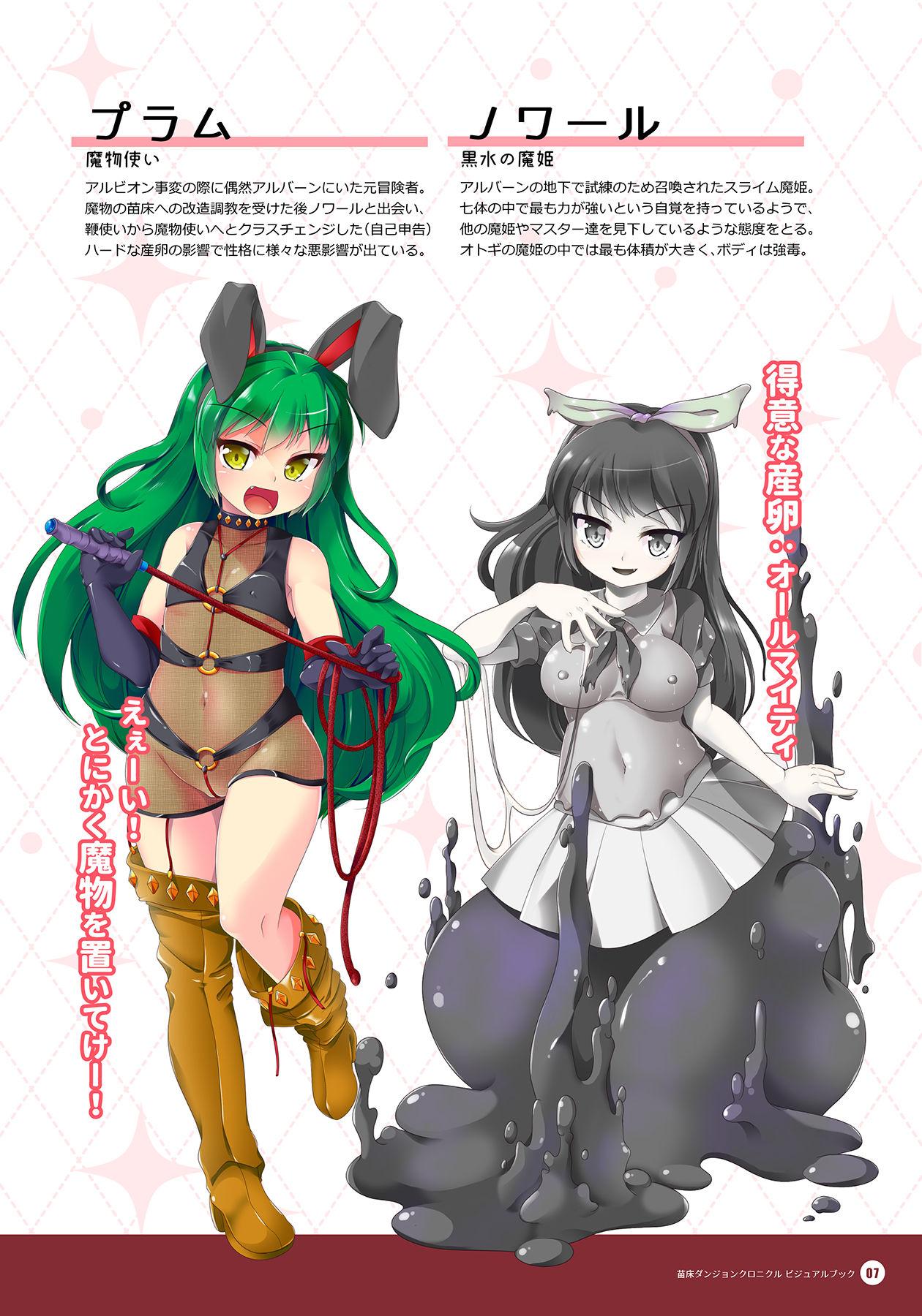 Naedoko Dungeon Chronicle Official Design Works 5